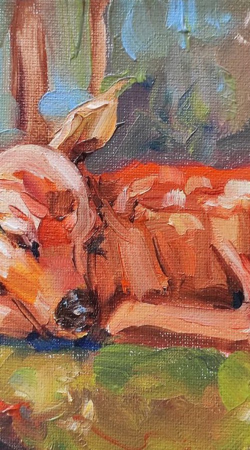Sleeping Fawn in Forest. Oil Painting 6x8 in by Natalia Miasnikova