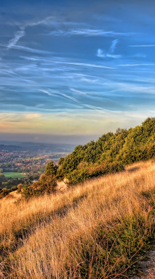 View to Dorking from Boxhill by Paul Englefield