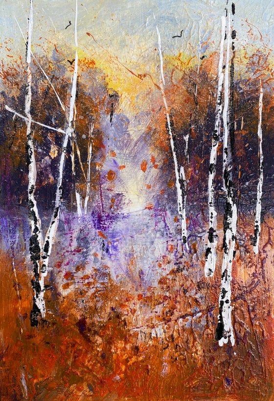 Warmth of Autumn Birches