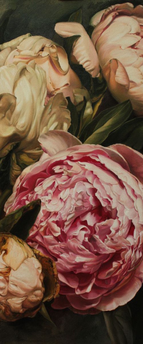 three peonies by Julia Diven