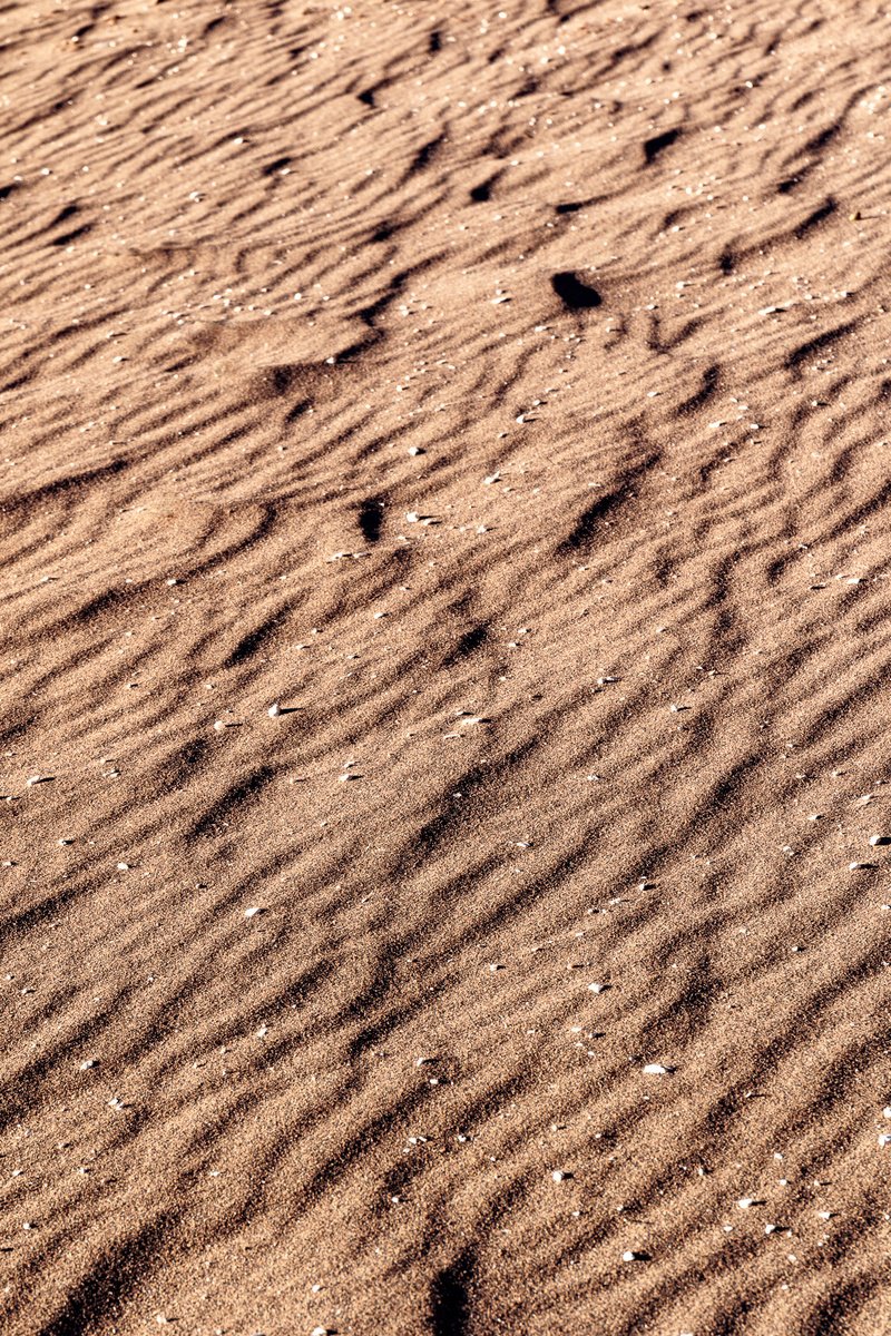 Photorealistic Landscape Photograph By Remi Carbonaro, 16 X 24", Petits Poucets, Original Artwork