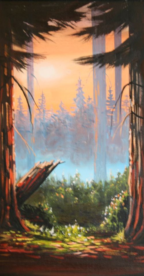 Sunrise in the Redwoods by John Begley