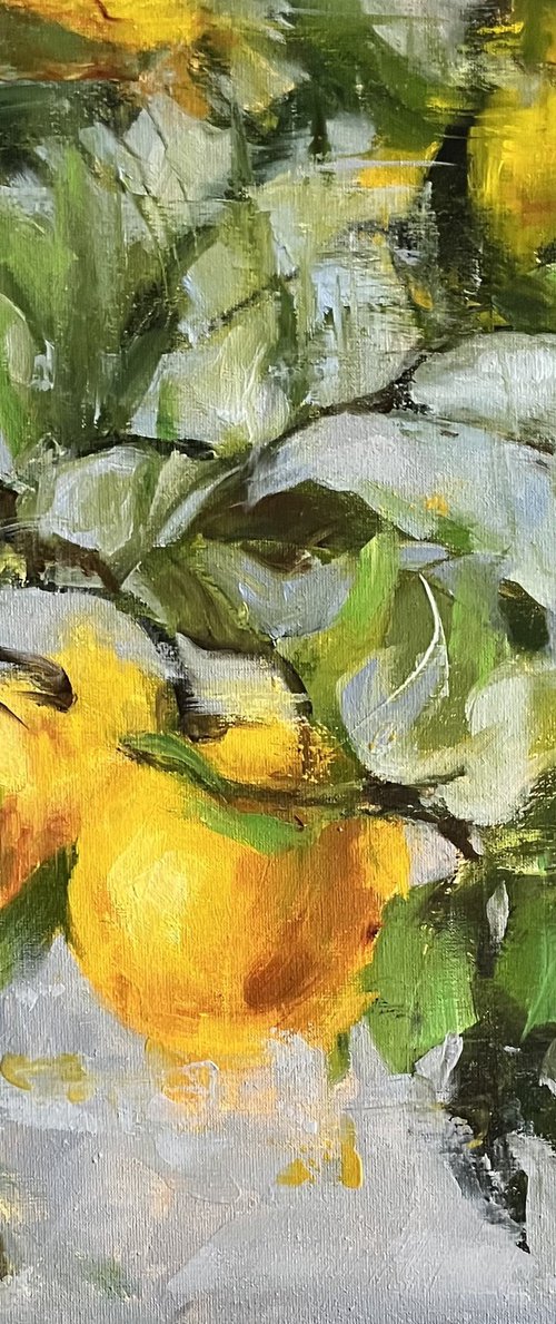 ORANGES by Elena Mashajeva-Agraphiotis