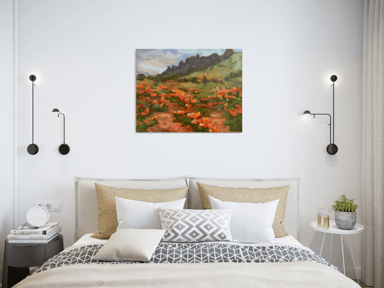 Desert in Spring