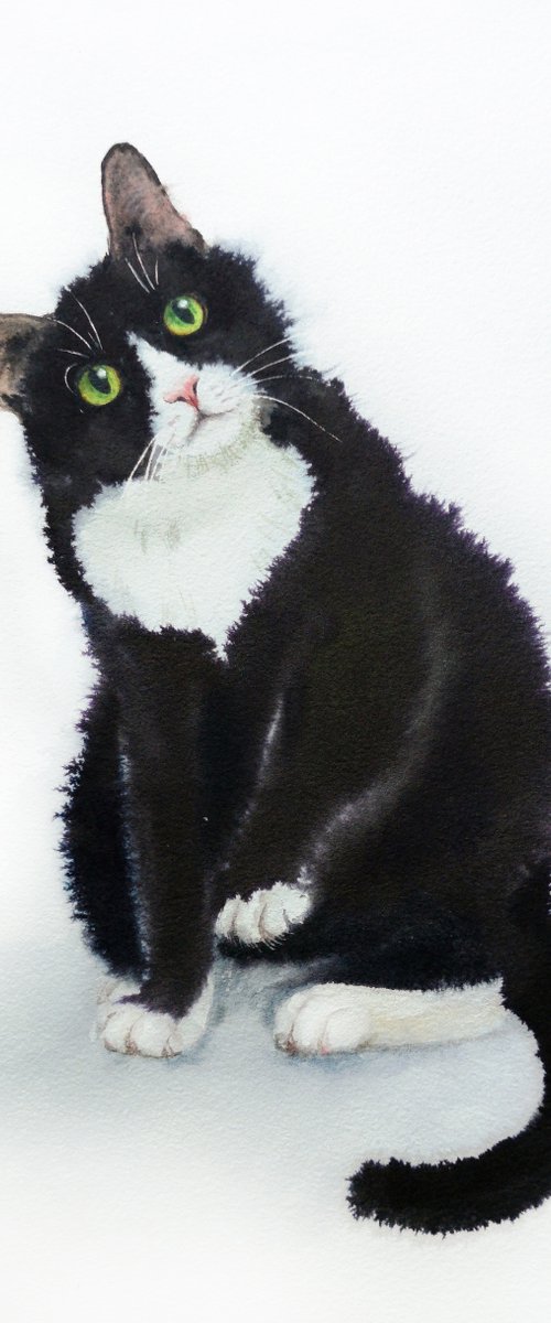 Curious Black and White Cat by Olga Beliaeva Watercolour