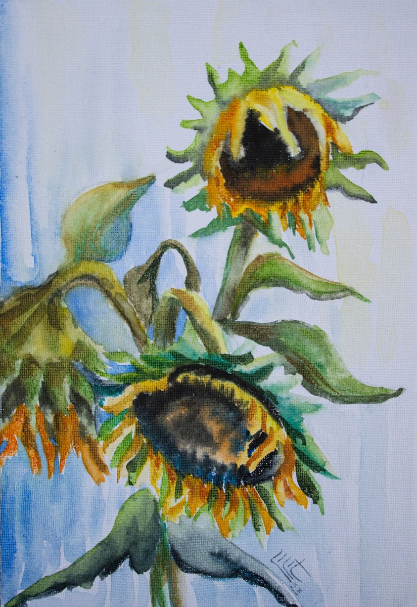 Sunflowers by Lilit Vardanyan