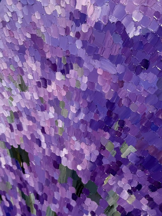 Lavender Dusk