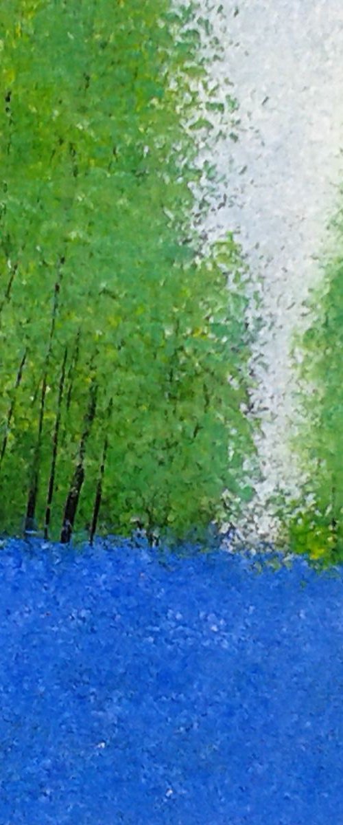 Bluebells in Spring by Jan Rippingham