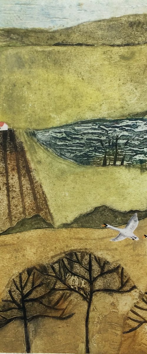 Two Swans by Jay Seabrook