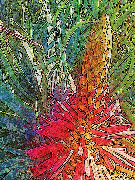 Sábila en flor
