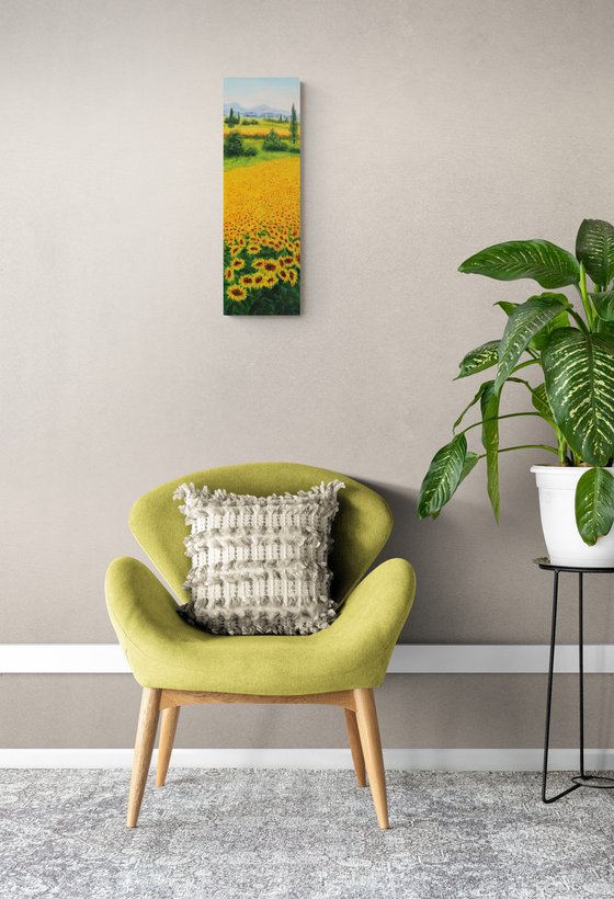 Sunflowers field in Tuscany