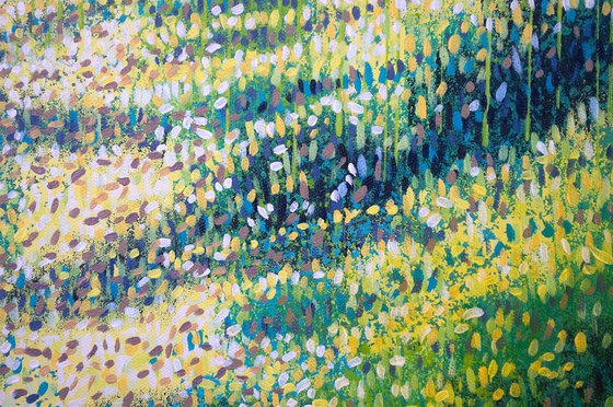 Summer Forest Path