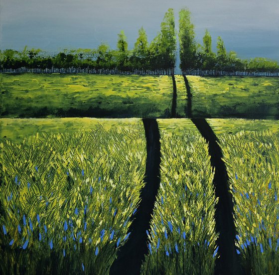 Canola Fields