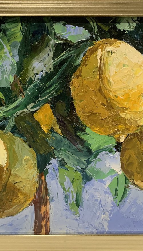 Lemon garden. by Vita Schagen