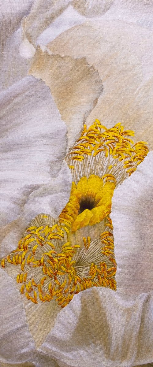 Peony, Soul of a Flower by Anastasia Woron
