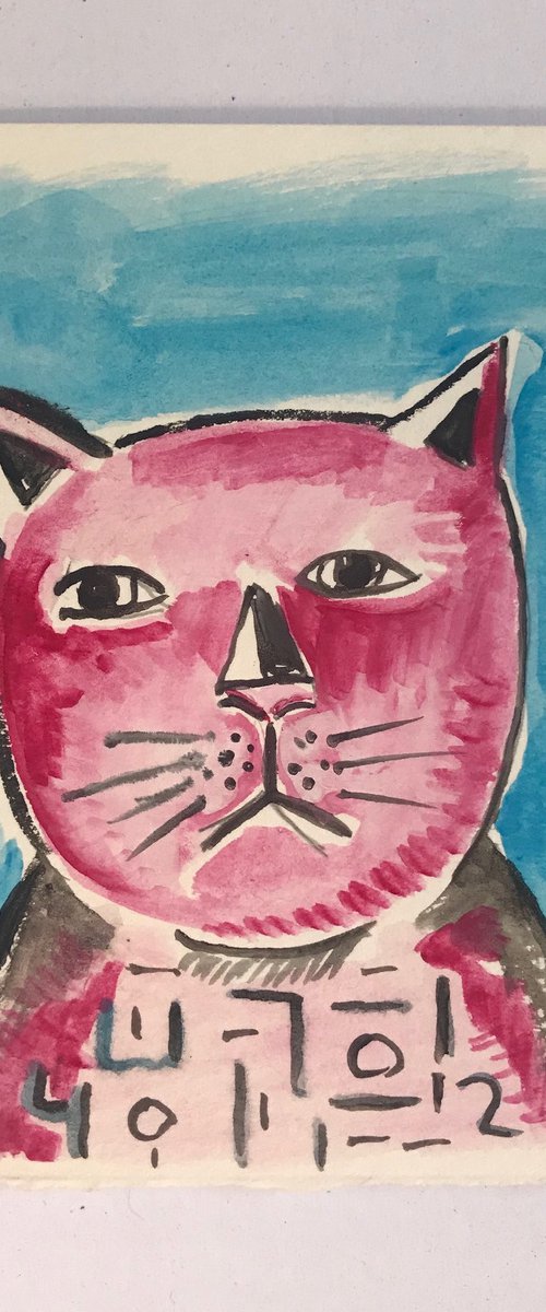 Pink Cat by Roberto Munguia Garcia