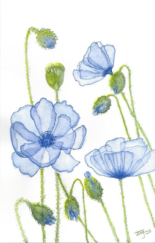 Soft petals#18 by Jing Tian