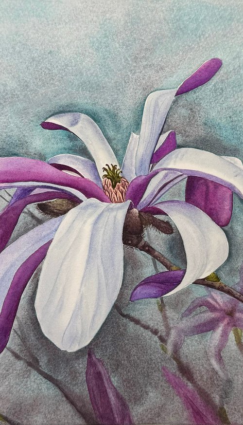 Magnolia watercolor flowers №1 by Yuliia Prokopchuk