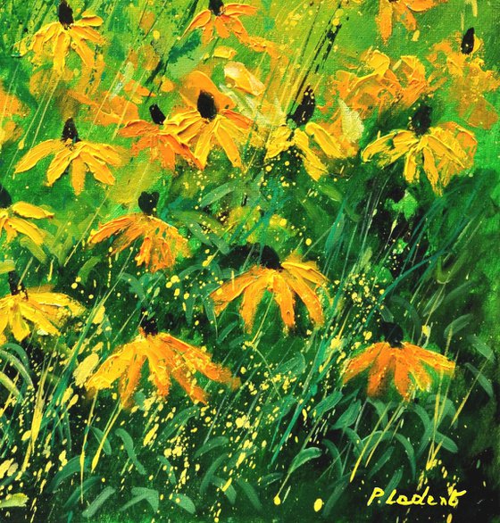 Yellow rudbeckias -6723
