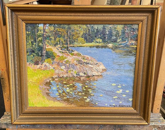 Forest lake