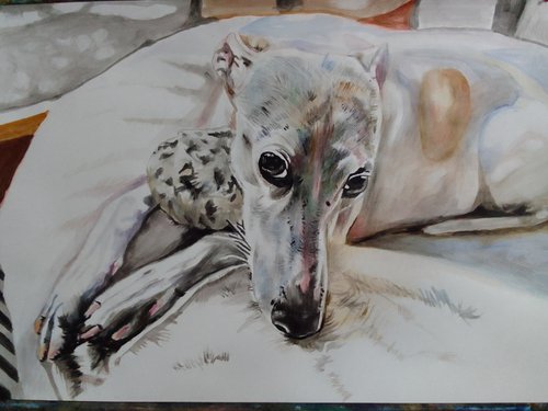 Greyhound by Soso Kumsiashvili