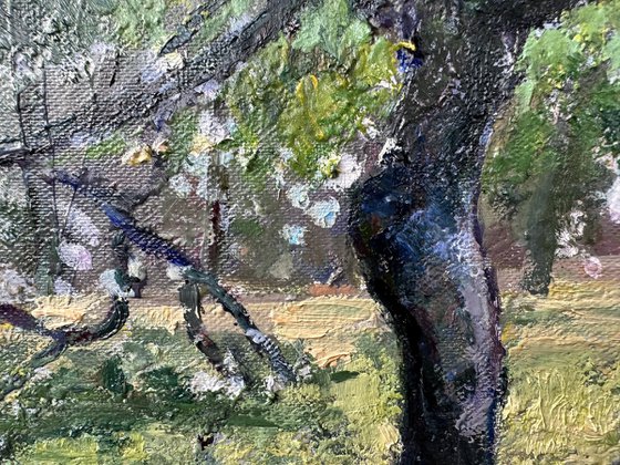 Apple Trees in Tetritskaro