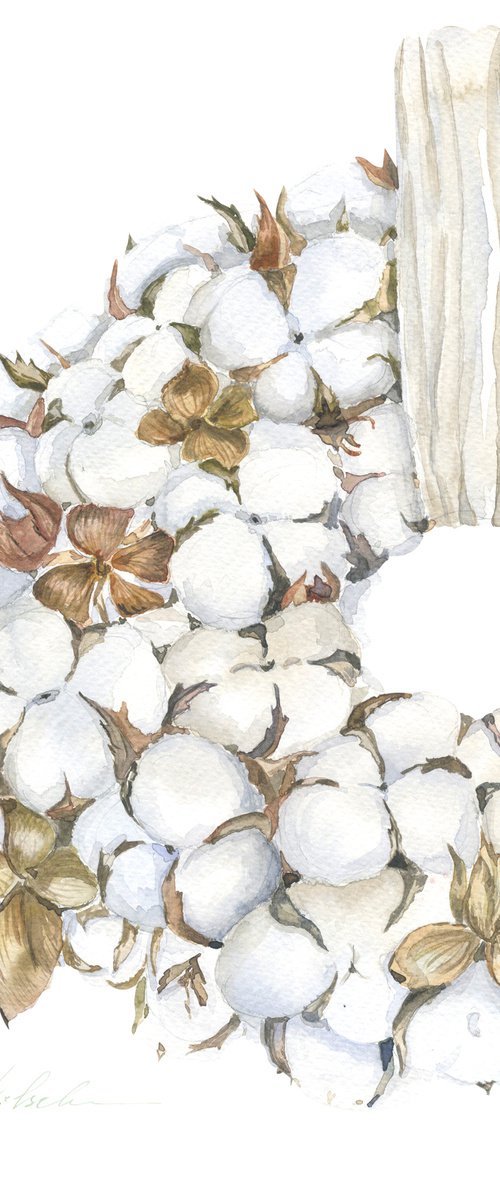 Cotton Wreath by Olga Koelsch