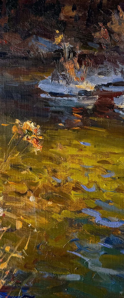 Silent Shore by Nataliia Nosyk