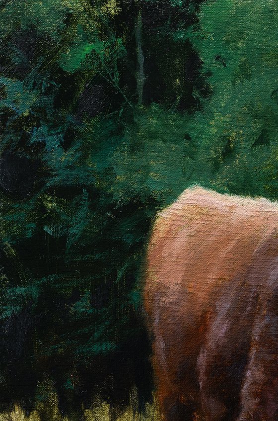 Evening Silence In The Forest