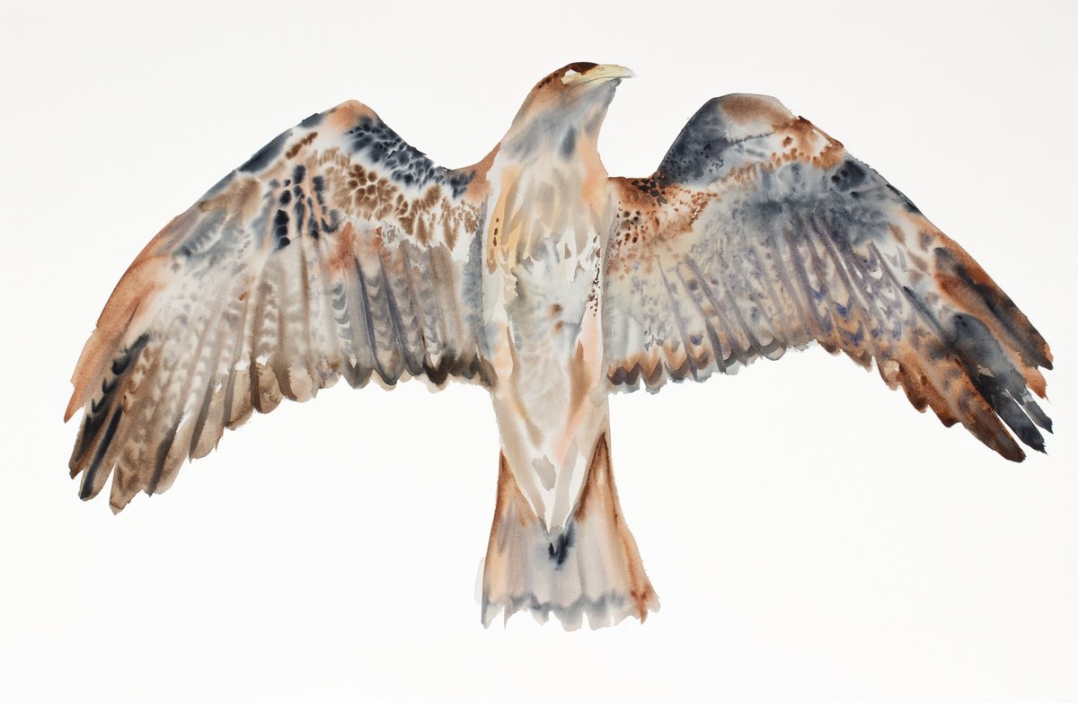 Flying Hawk No. 3 by Elizabeth Becker