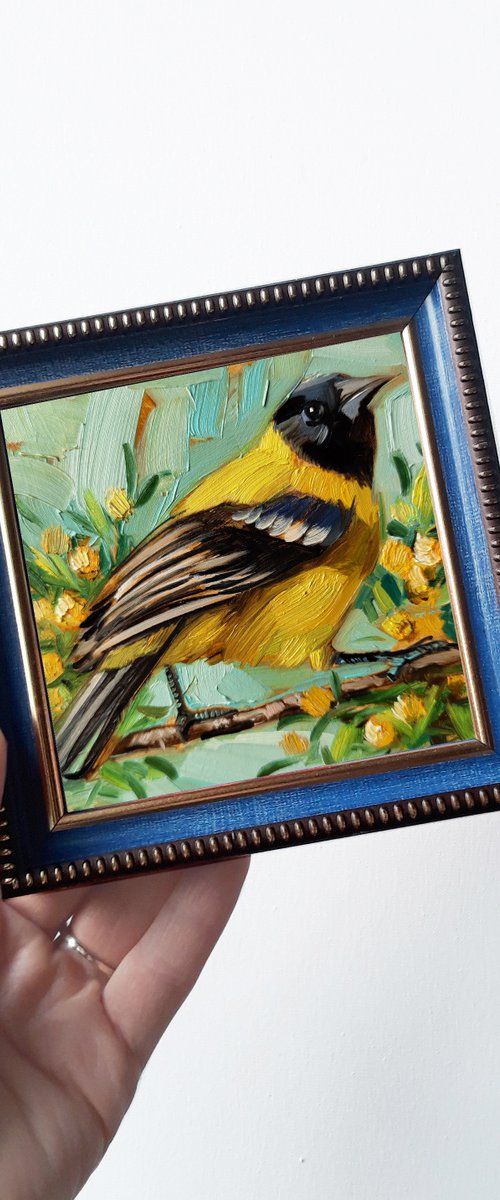 Audubon oriole bird by Nataly Derevyanko