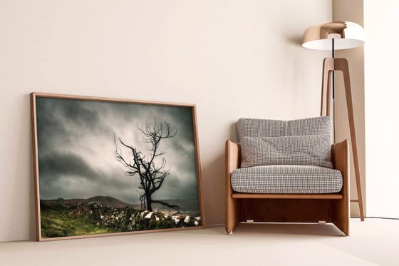 Melancholy in the Highlands