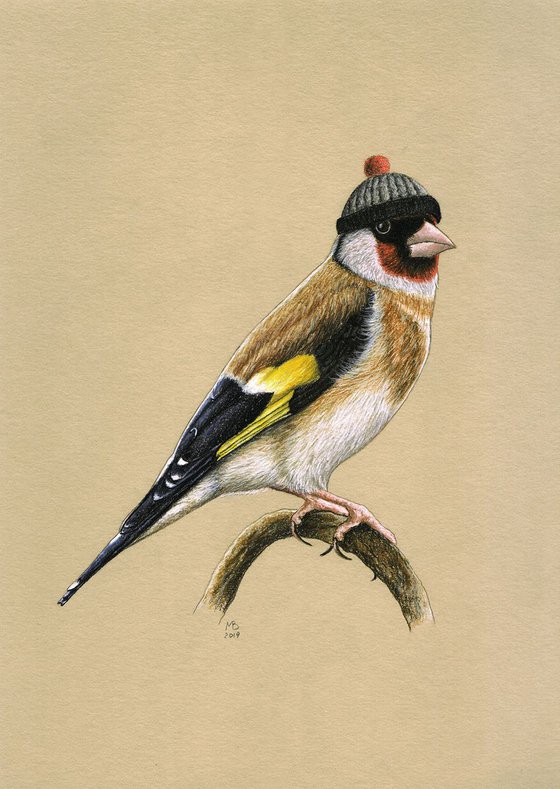 Original pastel drawing bird "European goldfinch"