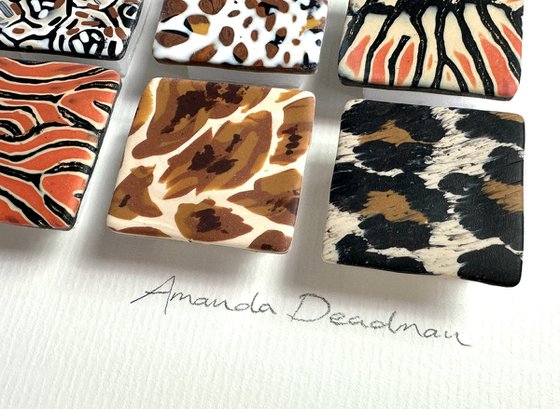 Safari