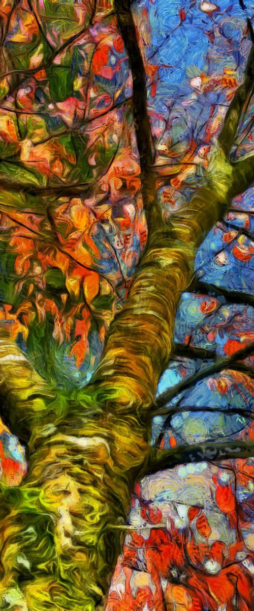 Into the Tree Top 17 Autumn Approaches by Alistair Wells