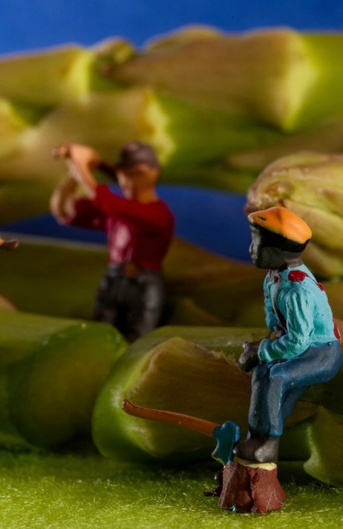 Asparagus Lumberjacks by Marc Ehrenbold