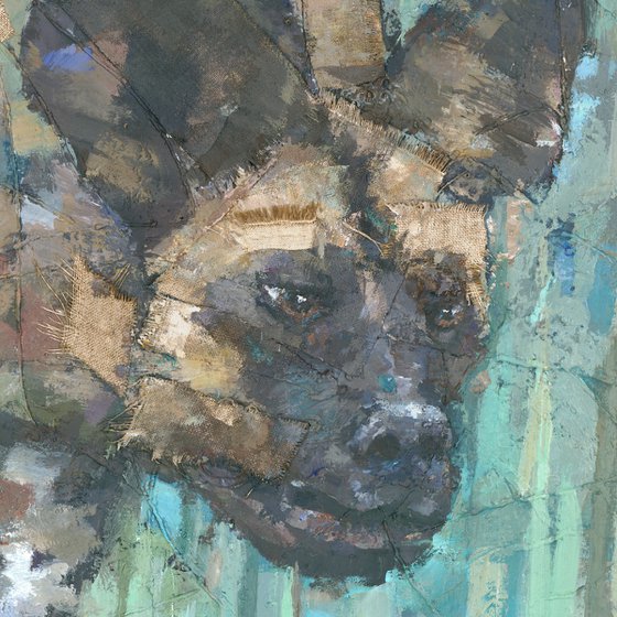 African Wild Dog
