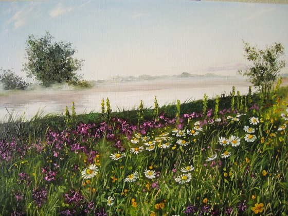 Wildflowers by the River