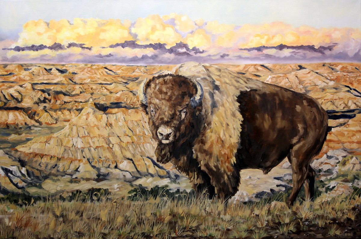 Sentinel of the Badlands - Landscape - North Dakota - Bison by Katrina Case