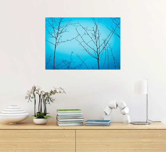 Twilight in the outdoors | Limited Edition Fine Art Print 1 of 10 | 60 x 40 cm