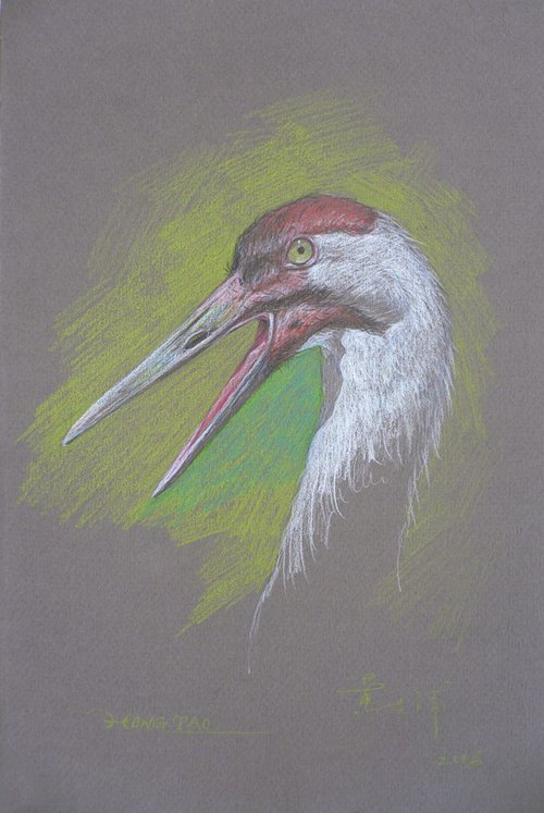 Drawing colour pencil   CROWNED CRANE #16-4-18-02 by Hongtao Huang