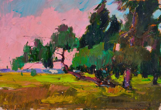Crooked Tree