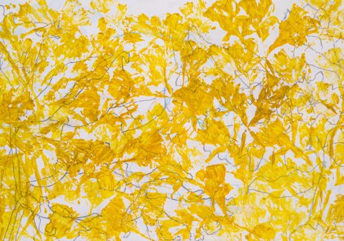 Yellow is a Big Part of Daffodils by Linda Jones