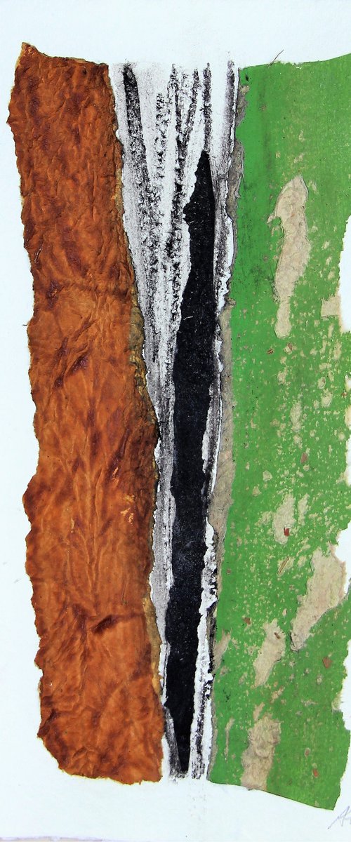 Bark by Assumpció Mateu