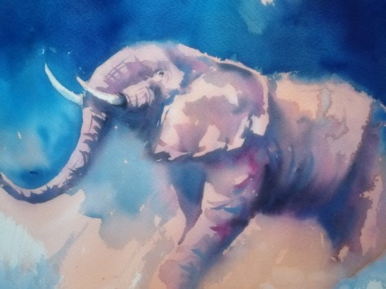 elephant 22