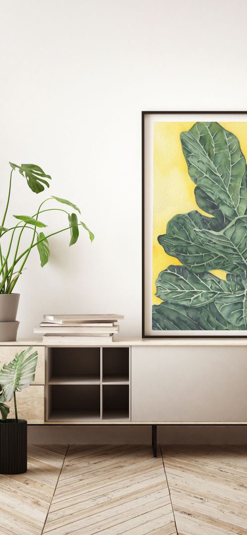 Modern Fiddle Leaf Fig Plant by Ana Mogush