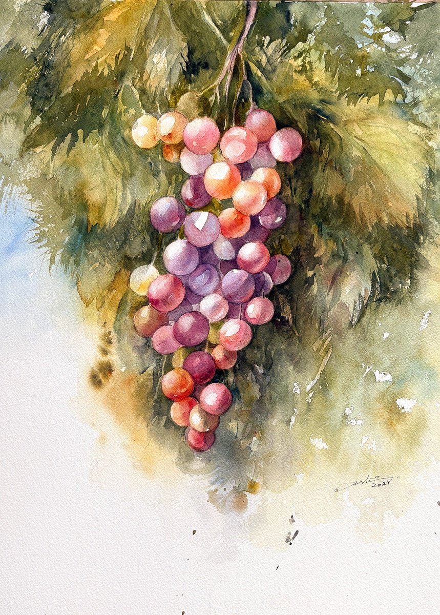 Photorealistic Botanical Watercolour By Arti Chauhan, 11 X 15, Ripe And Ready_Grapes, Original Artwork