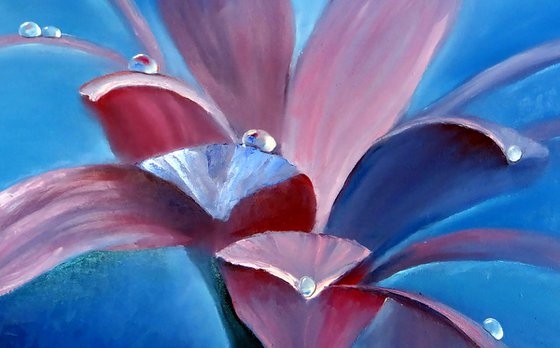 Purple flower with water drops