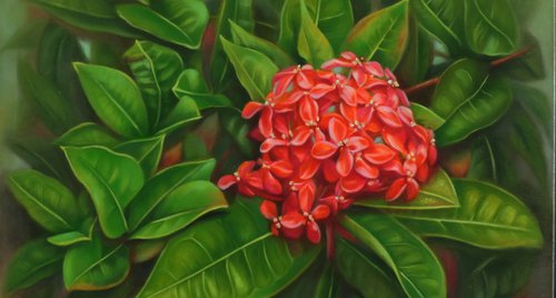 Artwork by Laura Cabral