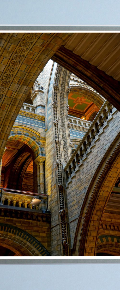 History Museum London by Robin Clarke